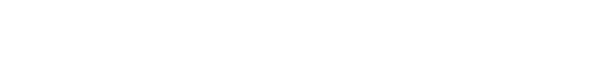 logo de la compagnie Salomon