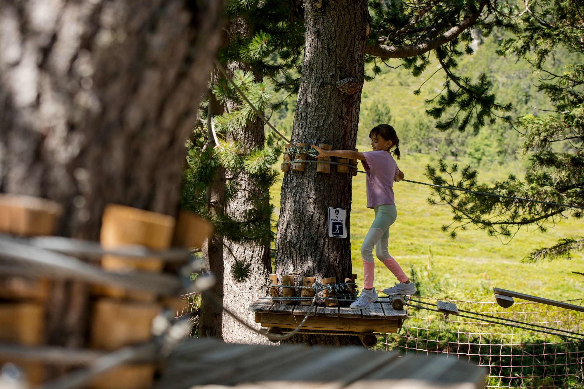 Treetop Adventure 