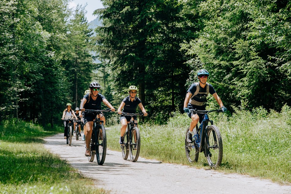 VTT Électrique